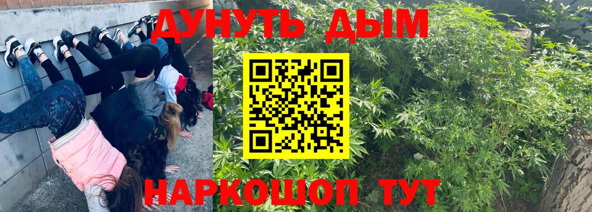 Бошки марихуана ГИДРОПОН  Вход с VPN  Шишки марихуана план  Жигулёвск  Каннабис индика 